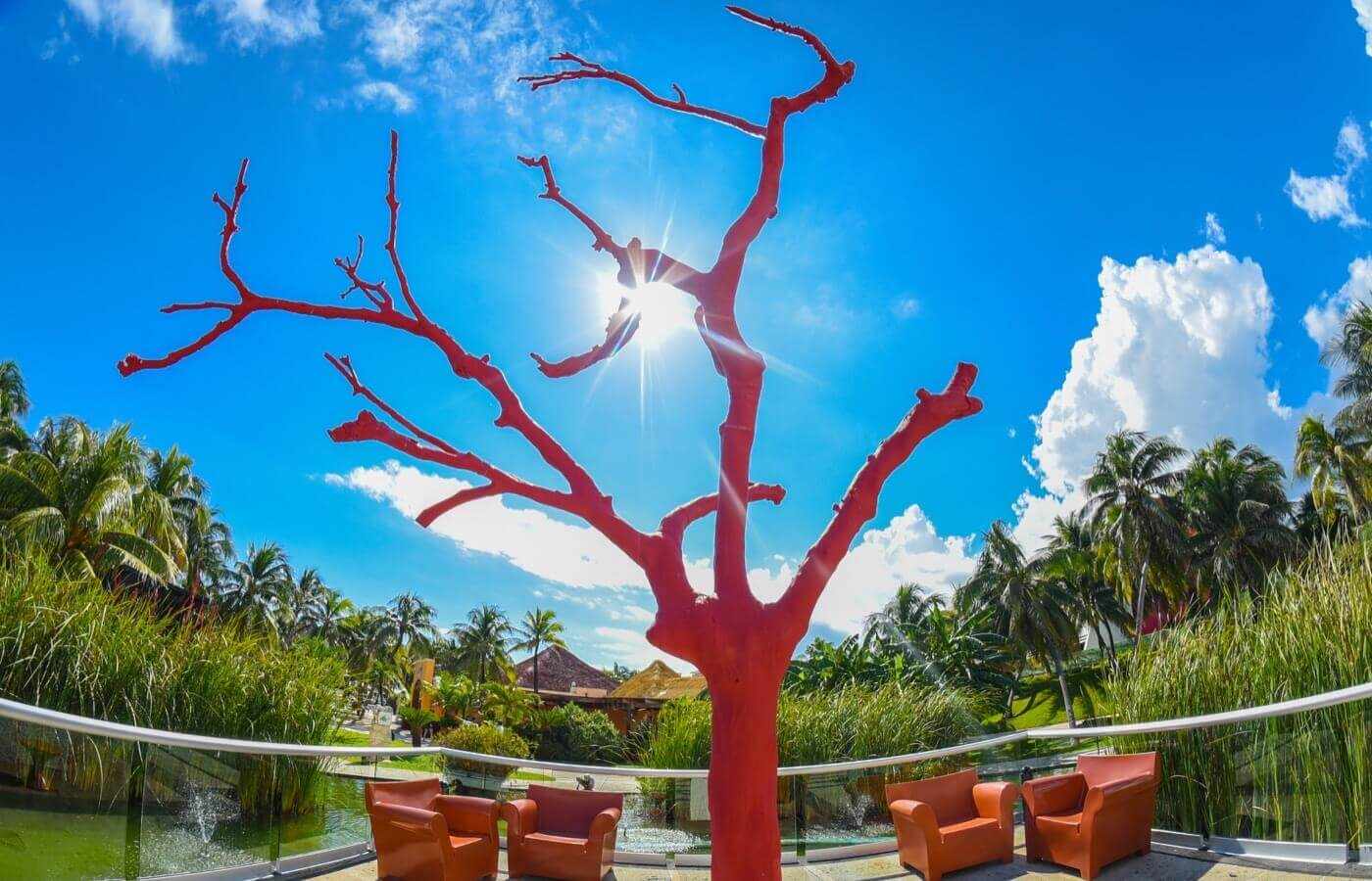 Leafless red tree in the open area of the hotel The Pyramid at Grand Oasis